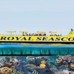 Excursie cu Semi-Submarinul Royal Sea Scope în Marsa Alam
