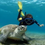 Excursie la Marsa Mubarak din Marsa Alam cu Snorkeling