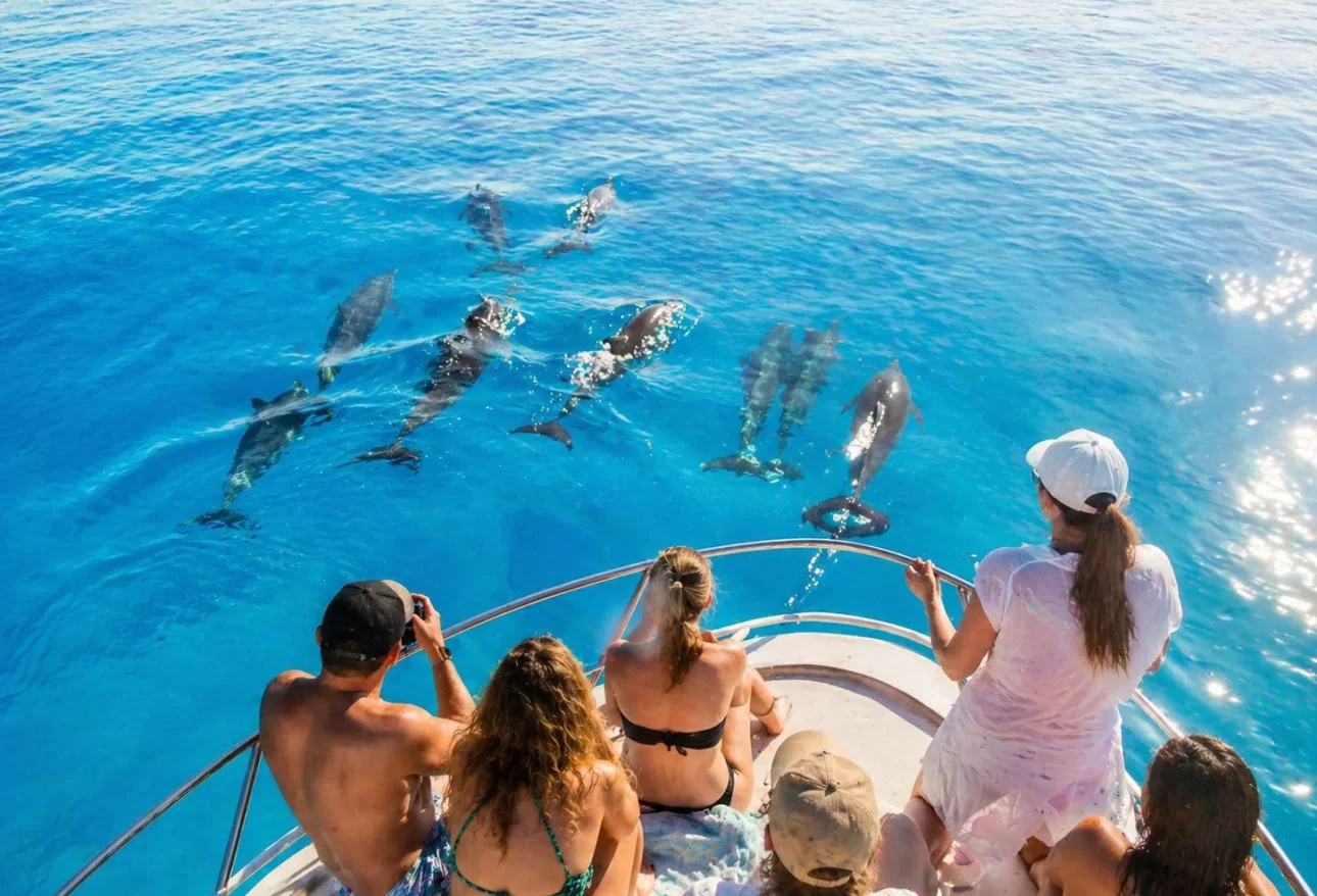 Excursie la Sataya Dolphin Reef din Marsa Alam
