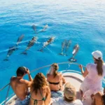 Excursie la Sataya Dolphin Reef din Marsa Alam