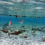 Excursie la Sharm El Naga din Hurghada – Plajă și Snorkeling
