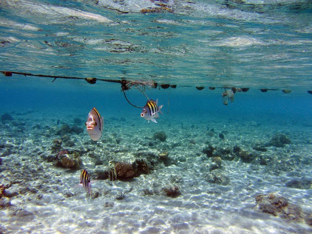 Excursie la Sharm El Naga din Hurghada – Plajă și Snorkeling