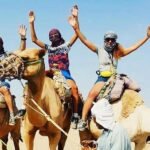 Plimbare cu Calul și Cămila în Hurghada